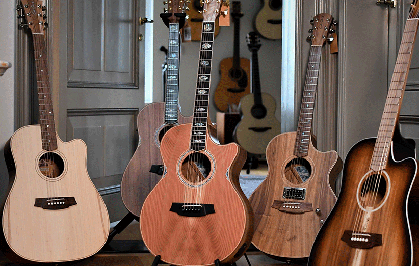 معرفی انواع مدل های گیتار